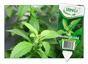 Stevia Zaad, 25% korting!